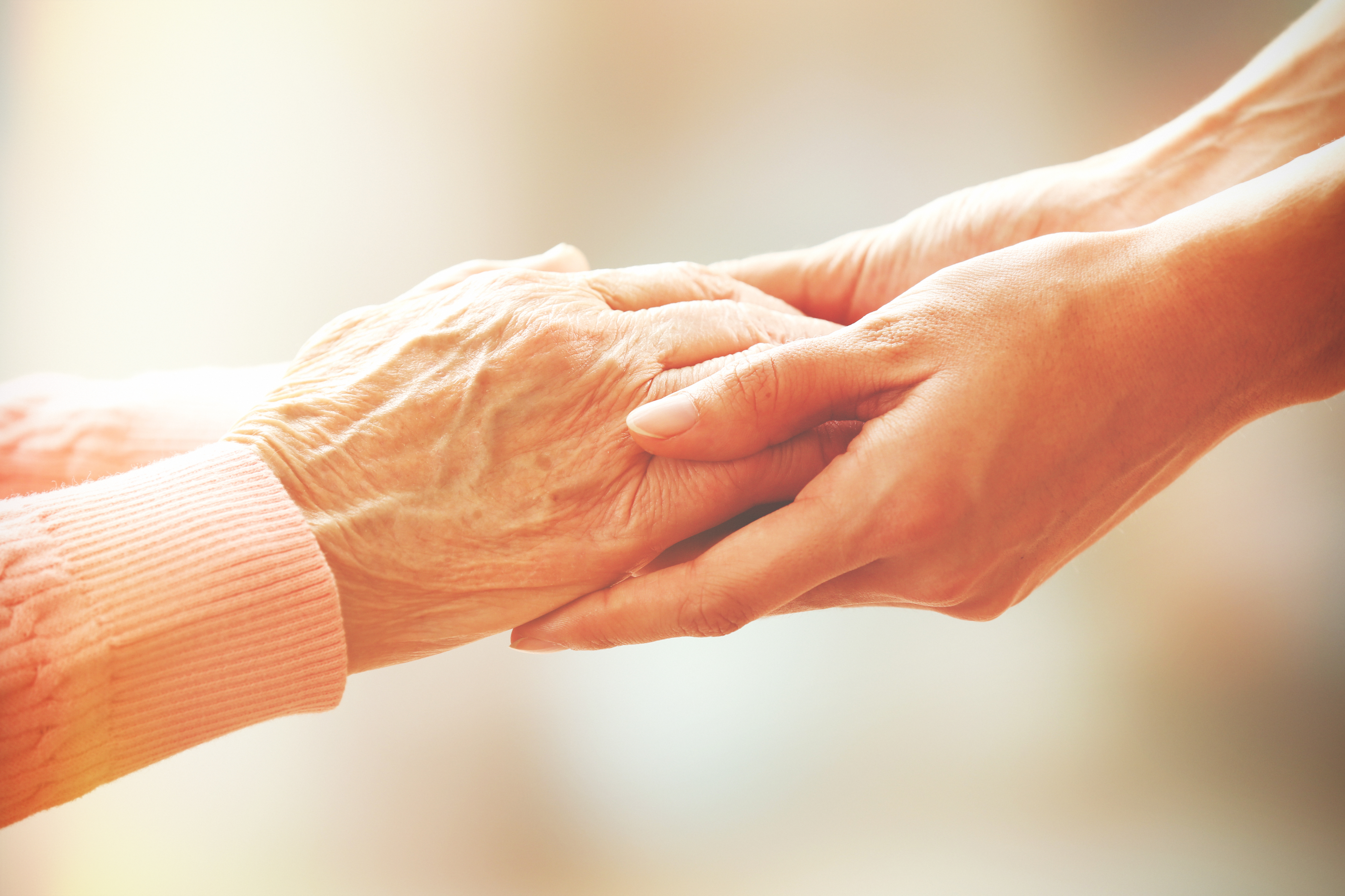 A young pair of hands holding an elderly pair of hands